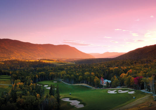 Untitled design (14)